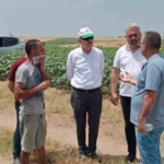 Keşan’da 350 dönüm buğday kül oldu