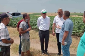 Keşan’da 350 dönüm buğday kül oldu