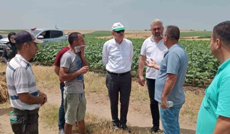 Keşan’da 350 dönüm buğday kül oldu