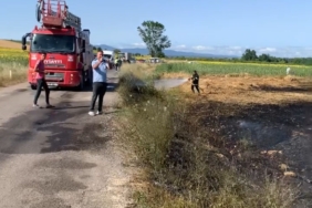 Kırklareli’nde buğday ekili tarlada yangın