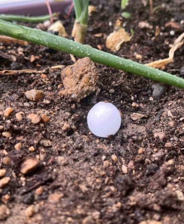 Kırklareli’nde ceviz büyüklüğünde yağan dolu otomobillere zarar verdi