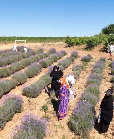 Kırklareli’nde mor turizme ilgi yoğun