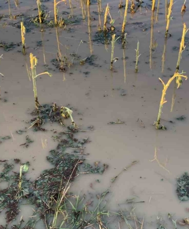 Kırklareli’ni dolu vurdu: Ekili alanlar, araçlar, evler hasar gördü