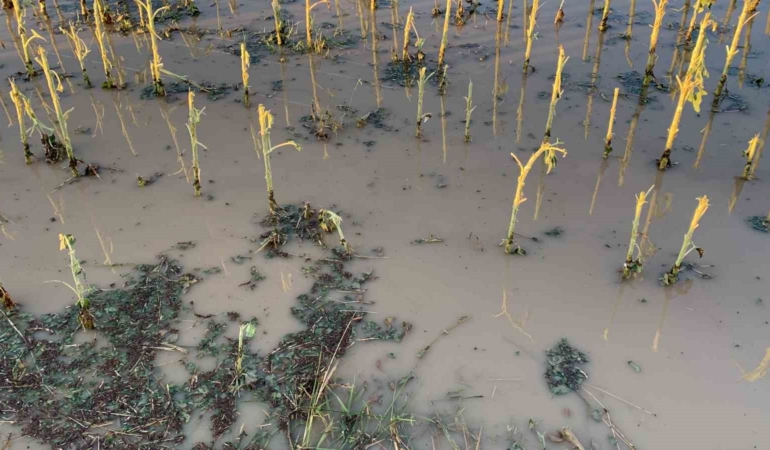 Kırklareli’ni dolu vurdu: Ekili alanlar, araçlar, evler hasar gördü