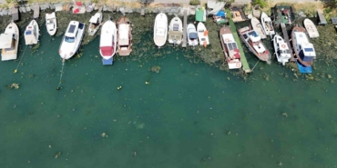 Kirlilik nedeniyle Menekşe deresi yosun tutmaya başladı
