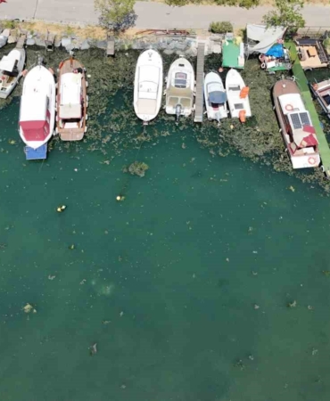 Kirlilik nedeniyle Menekşe deresi yosun tutmaya başladı