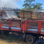 Kocaeli İstanbul sınırındaki yangın araçlara ve otluk alana sirayet etti