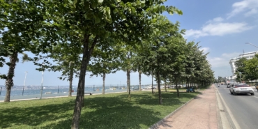 Kocaeli’yi ıhlamur kokusu sardı