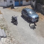 Köpeğe şiddet kamerada