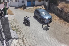 Köpeğe şiddet kamerada