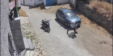 Köpeğe şiddet kamerada