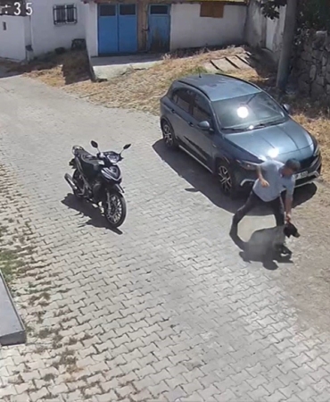 Köpeğe şiddet kamerada