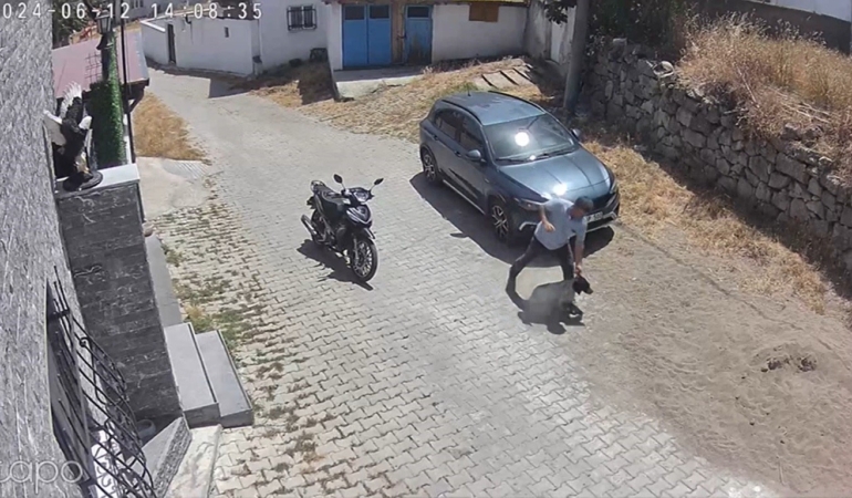 Köpeğe şiddet kamerada