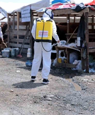 Kurban bayramı için hijyen alarmı: Hastalık riskine karşı harekete geçtiler