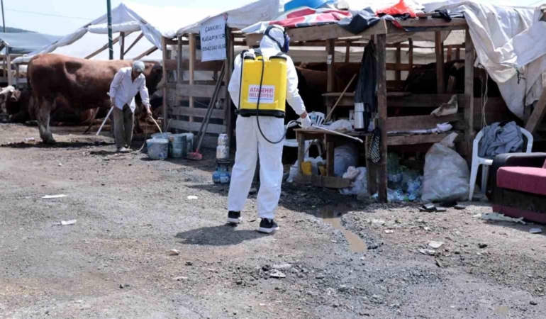 Kurban bayramı için hijyen alarmı: Hastalık riskine karşı harekete geçtiler
