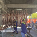 Kurban kesimi bayramın ikinci gününde de sürüyor