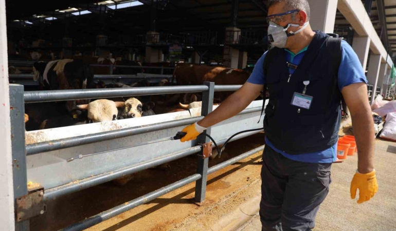 Kurban pazarlarında sinekle mücadele sürüyor