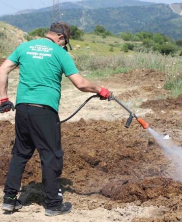 Kurban satış alanları ilaçlanıyor