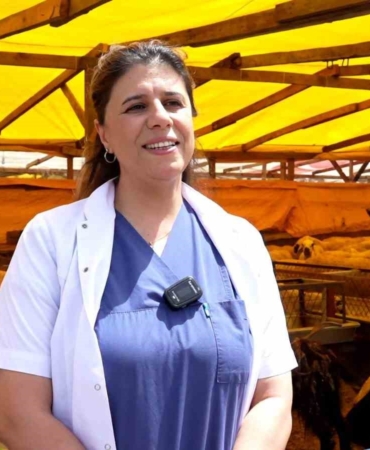 Kurbanlık alırken dikkat edilmesi gereken 9 detay