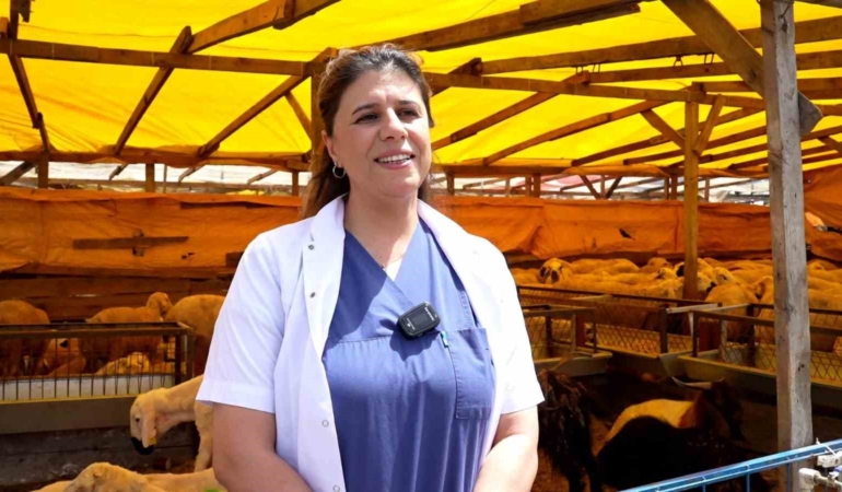 Kurbanlık alırken dikkat edilmesi gereken 9 detay