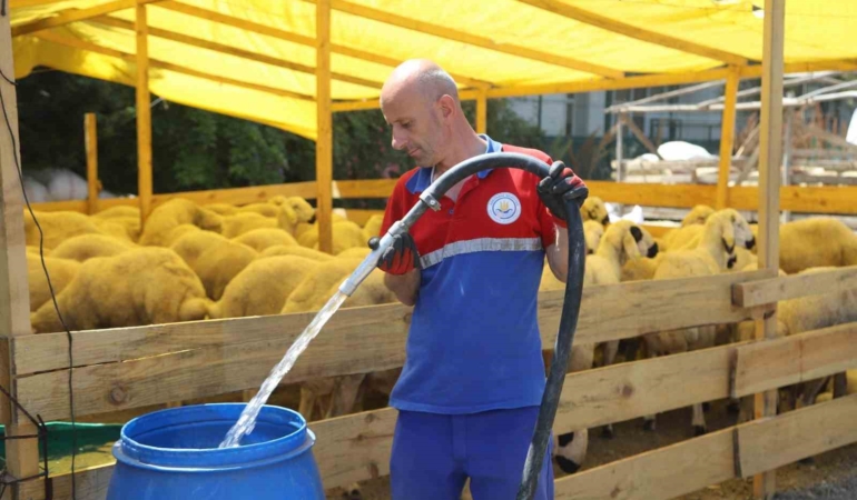 Kurbanlıklar pazar yerlerinde alıcıları bekliyor