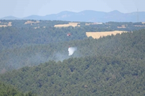 Lapseki’de orman yangını