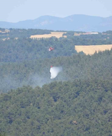 Lapseki’de orman yangını