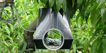 Lapseki’de tarım arazileri zararlılardan ’dijital tuzak’ ile korunuyor