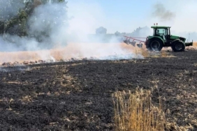 Lüleburgaz’da tarla yangını korkuttu