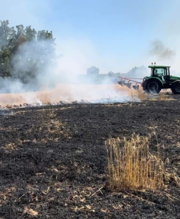 Lüleburgaz’da tarla yangını korkuttu