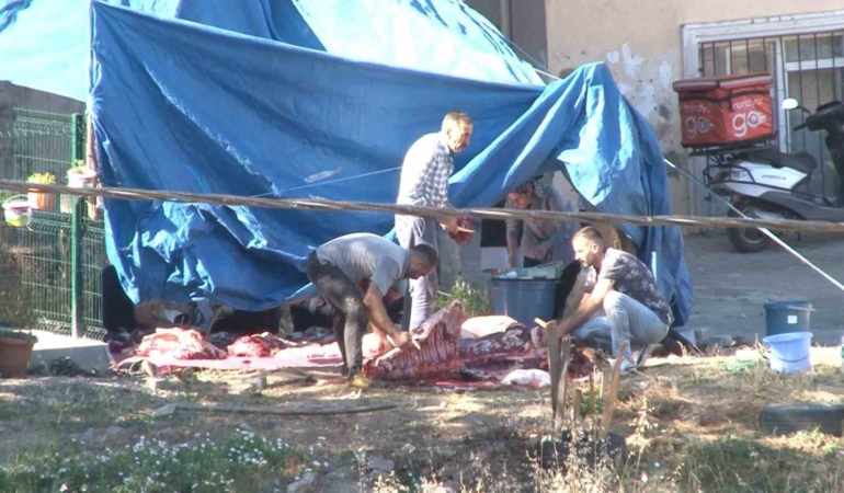 Maltepe’de sokaklar kesimhaneye döndü