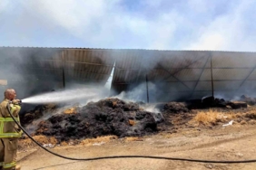 Manyas’taki çiftlik yangınında 52 koyun telef oldu