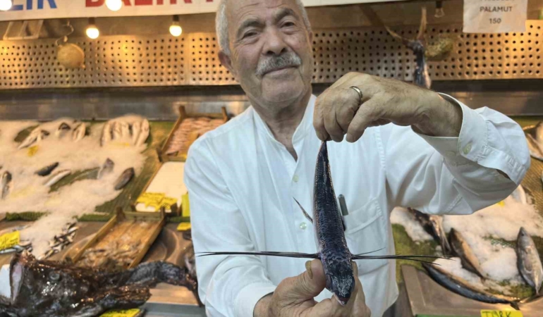 Marmara Denizi açıklarında uçan balık yakalandı