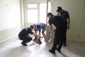 Merdiven boşluğunda mahsur kalan kediyi itfaiye kurtardı