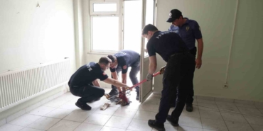 Merdiven boşluğunda mahsur kalan kediyi itfaiye kurtardı