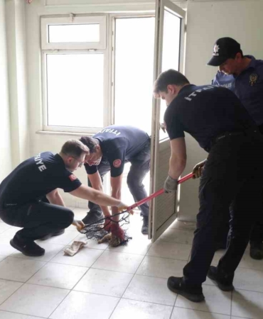 Merdiven boşluğunda mahsur kalan kediyi itfaiye kurtardı