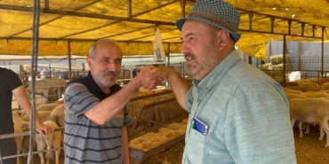 Modern Hayvan Pazarı’nda kurbanlık alışverişi devam ediyor