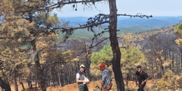 Orhaneli’ndeki yangında 96 hektar orman kül oldu, ağaçlandırma çalışması başladı