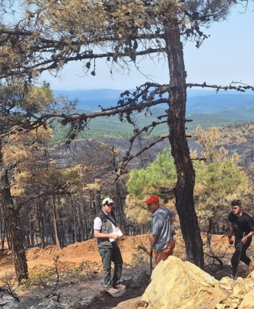 Orhaneli’ndeki yangında 96 hektar orman kül oldu, ağaçlandırma çalışması başladı