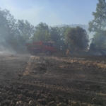 Osmaneli’de 20 dönümlük buğday tarlası yangında kül oldu