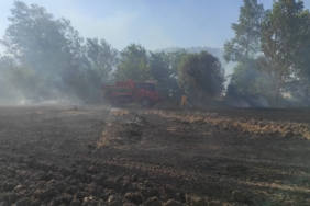 Osmaneli’de 20 dönümlük buğday tarlası yangında kül oldu