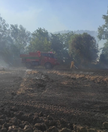 Osmaneli’de 20 dönümlük buğday tarlası yangında kül oldu