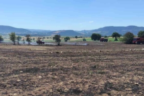 Osmaneli’de çıkan anız yangını kontrol altına alınarak söndürüldü