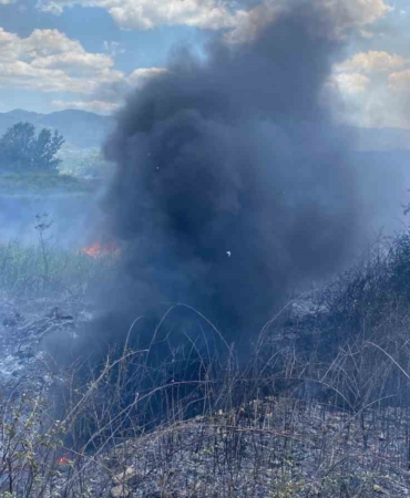 Otluk alanda korkutan yangın