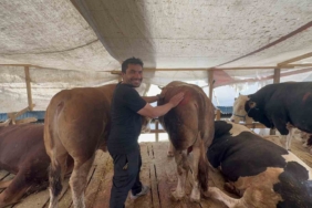Öyle bir pazarlık yaptılar ki rüyasına bile girdi