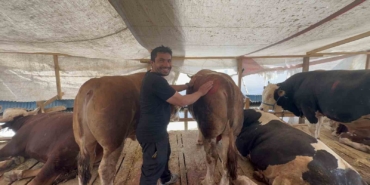 Öyle bir pazarlık yaptılar ki rüyasına bile girdi