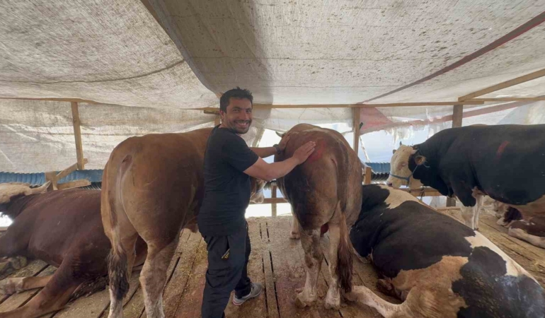 Öyle bir pazarlık yaptılar ki rüyasına bile girdi