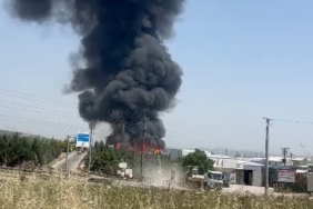 Palet fabrikası alev alev yanıyor