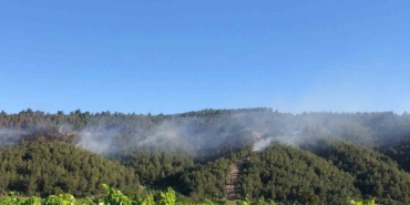 Sakarya’da ormanlık alanda çıkan yangına havadan ve karadan müdahale