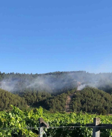 Sakarya’da ormanlık alanda çıkan yangına havadan ve karadan müdahale